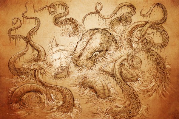 Kraken onion 2024